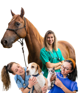 Provet Veterinary Nurse & Technologist Champion Awards Nomination Form 1