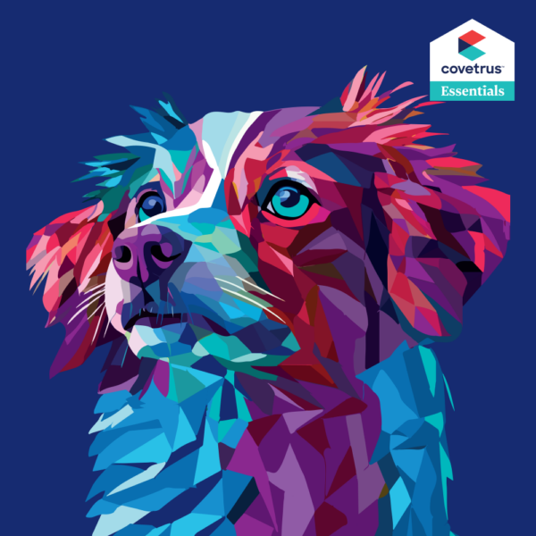 Welcome to Provet New Zealand 1