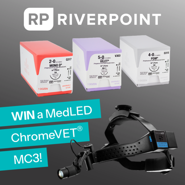 Welcome to Provet New Zealand 2