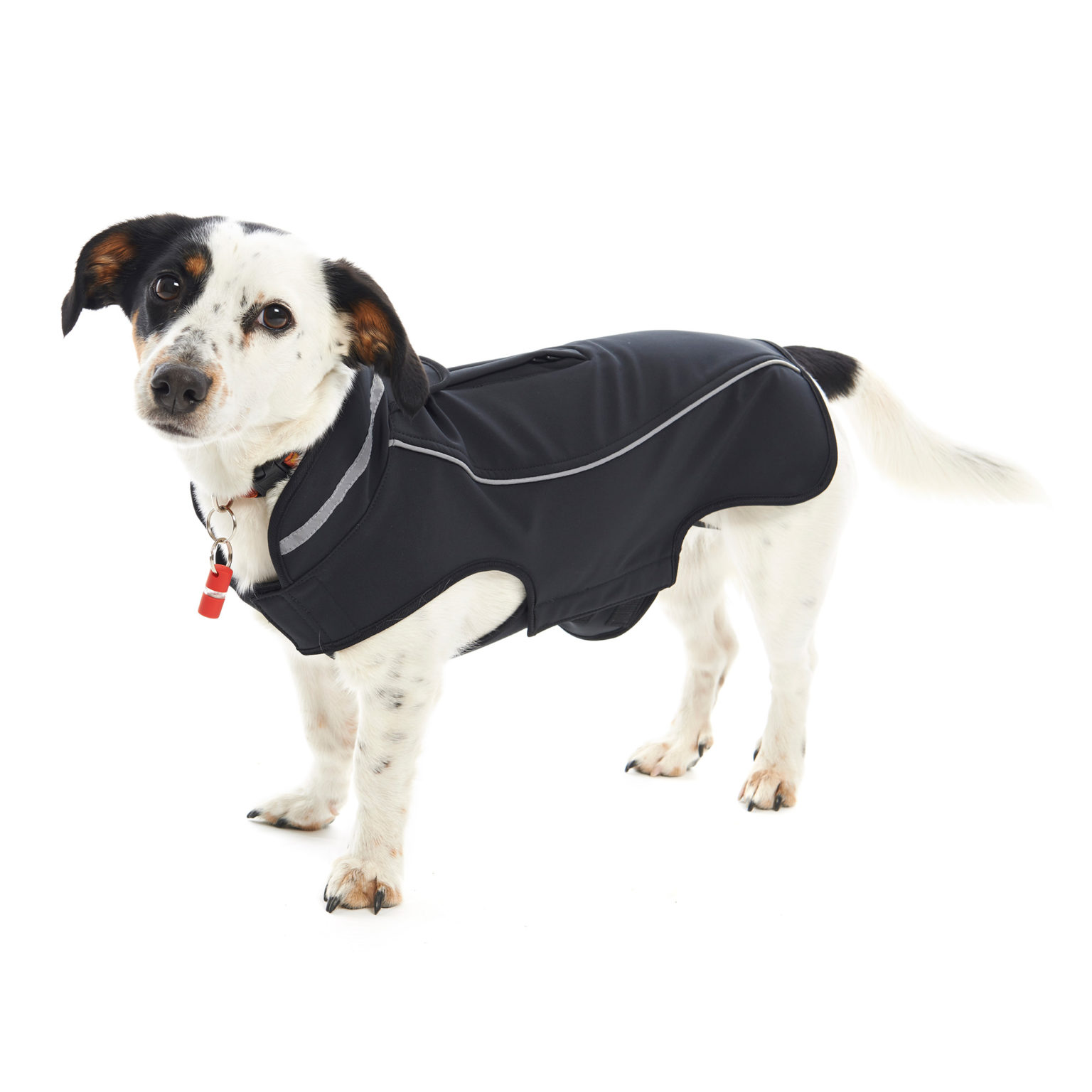 BUSTER Dog Coats Provet NZ