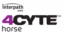 4CYTE-Horse-900w