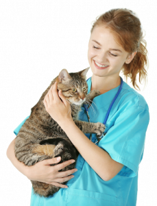 vetnurse2025.png